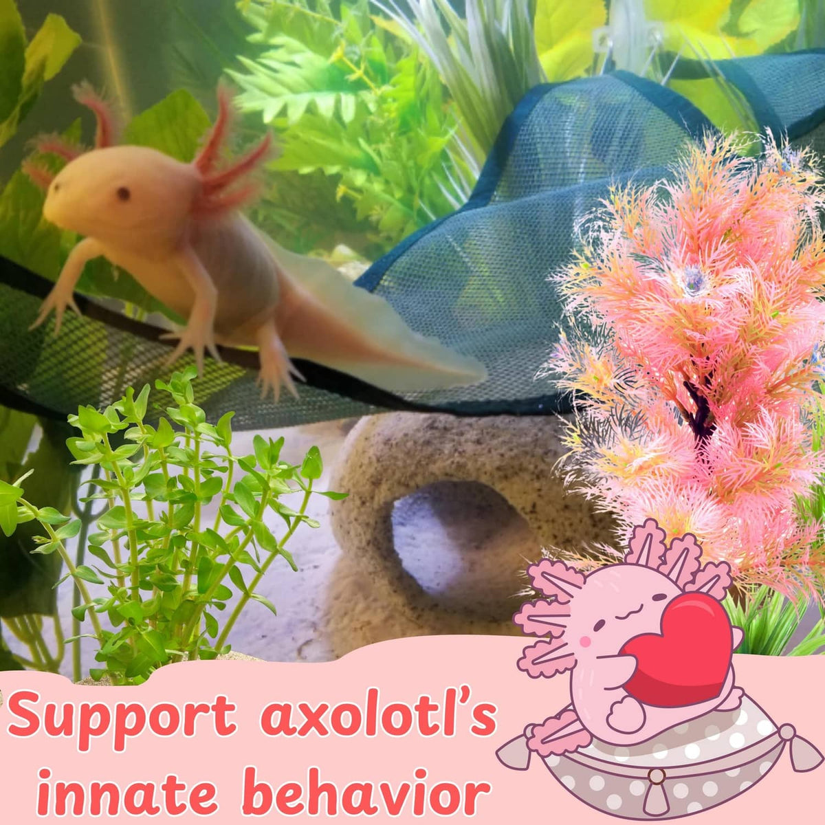Black mesh aquarium hammock supporting an axolotl near aquarium plants