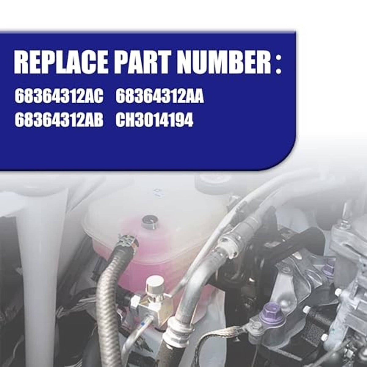Engine bay coolant reservoir area with cap and connected hoses