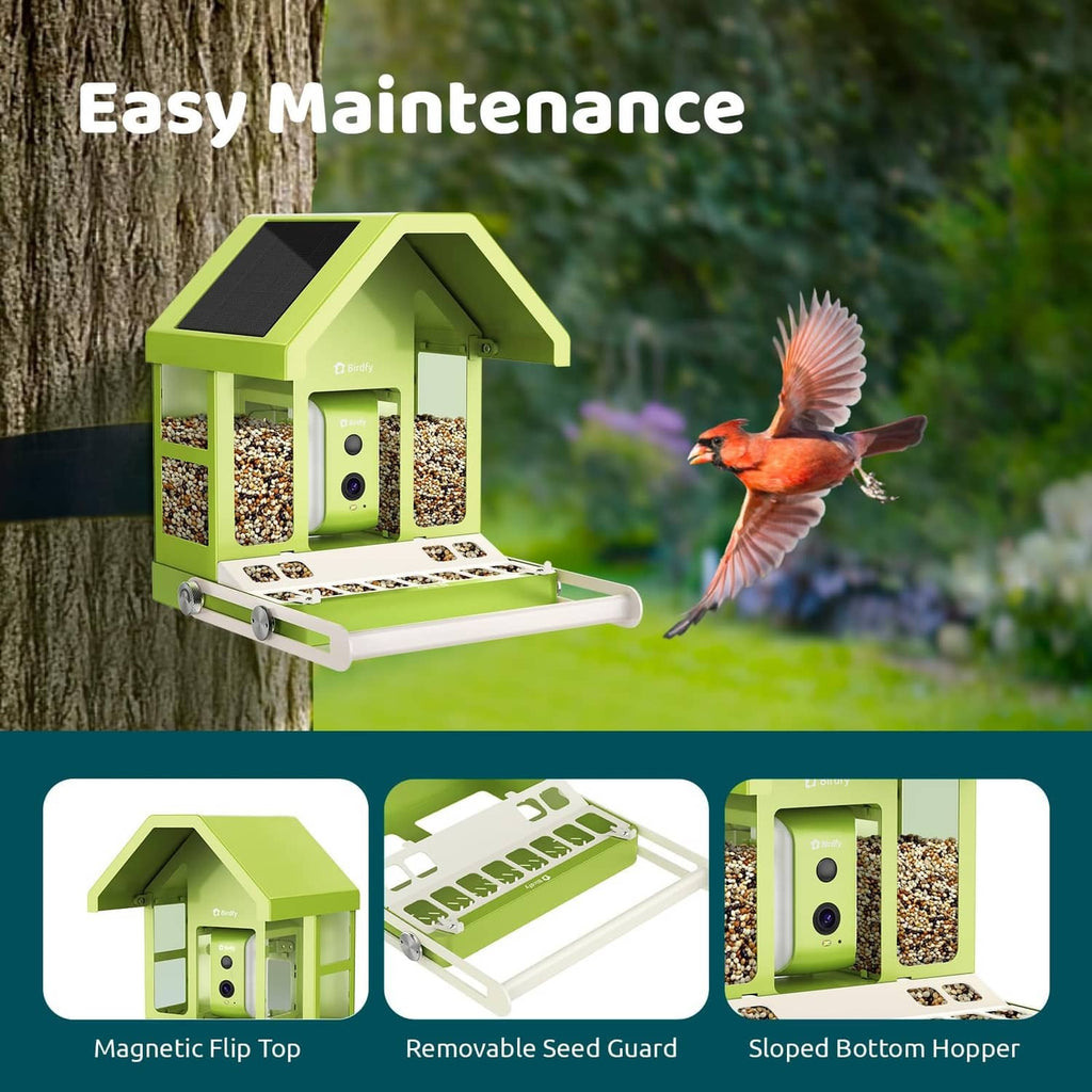 Green metal bird feeder on tree with flying orange bird; magnetic flip and seed guard shown