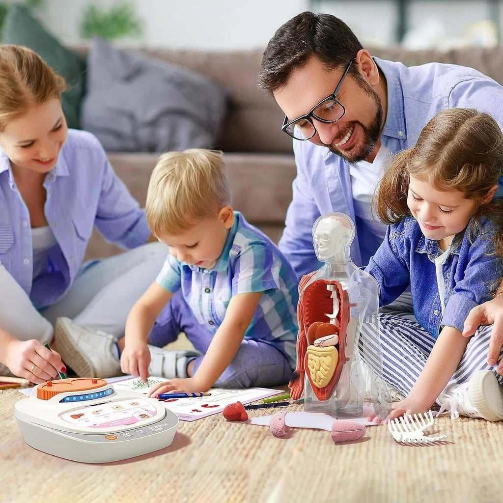 Interactive human anatomy model on white base with lights, used by children.
