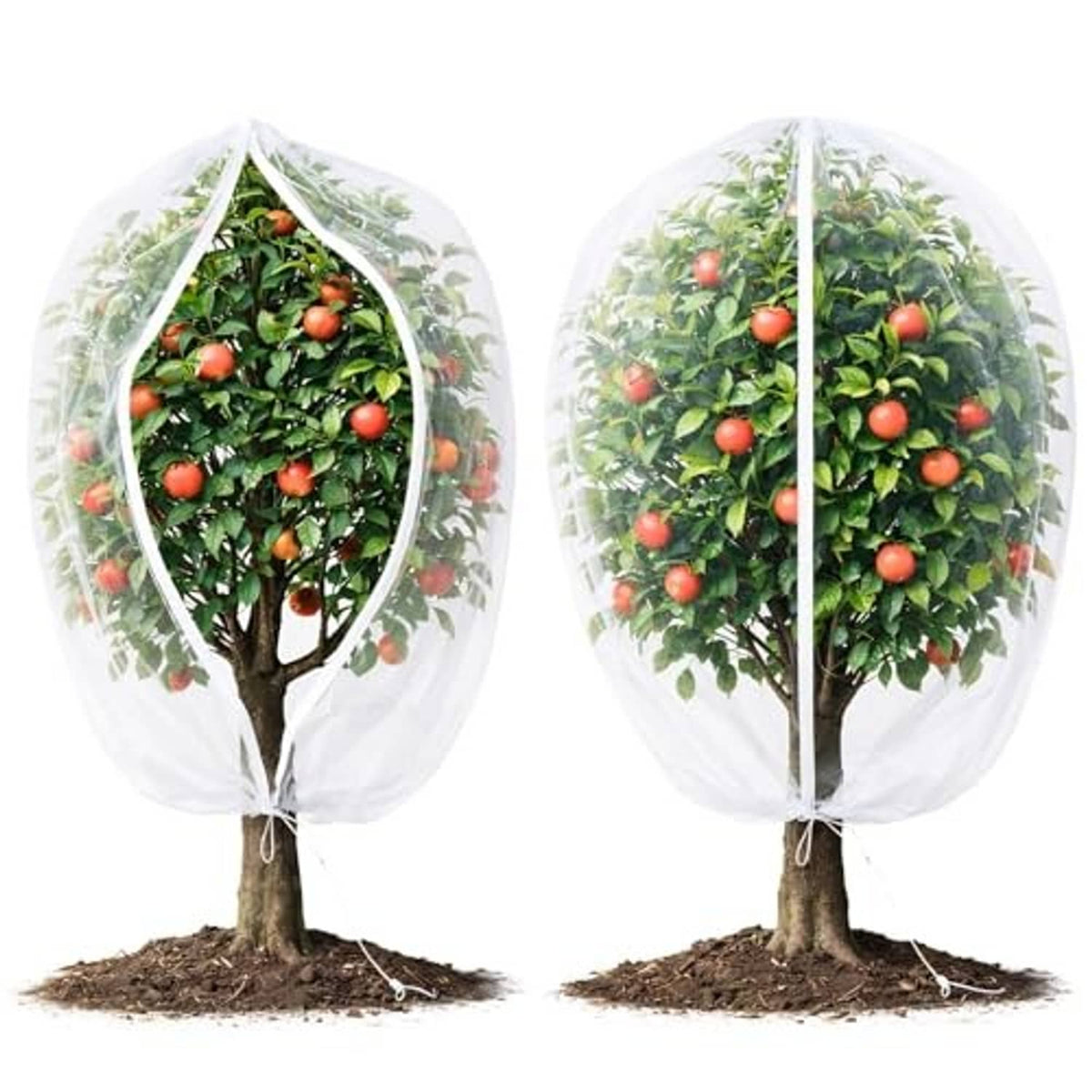 White fruit tree netting covers with zipper and drawstring, shown on two fruit trees