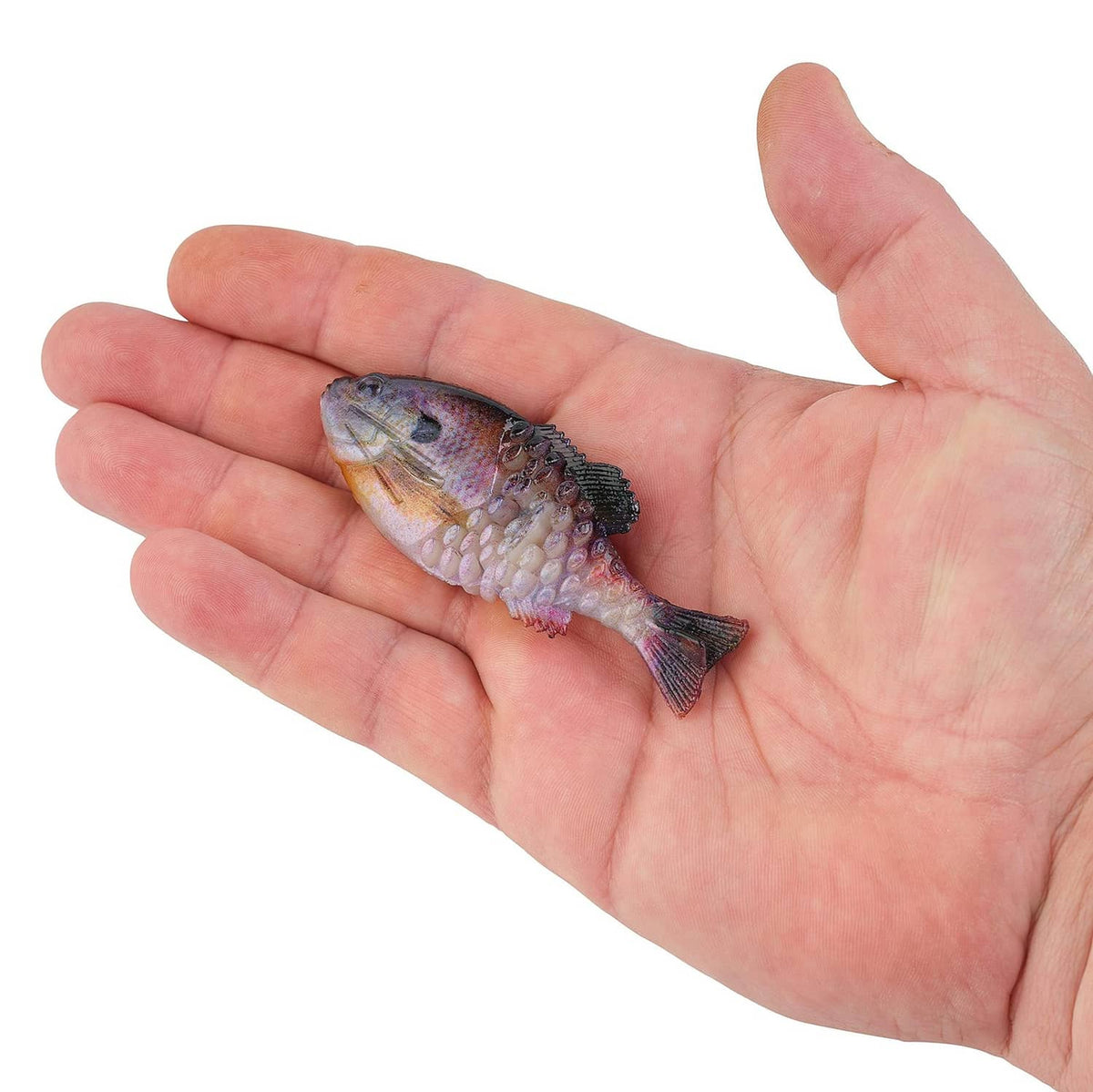 Soft plastic gilly fishing bait lure, hand-held, natural bluegill color