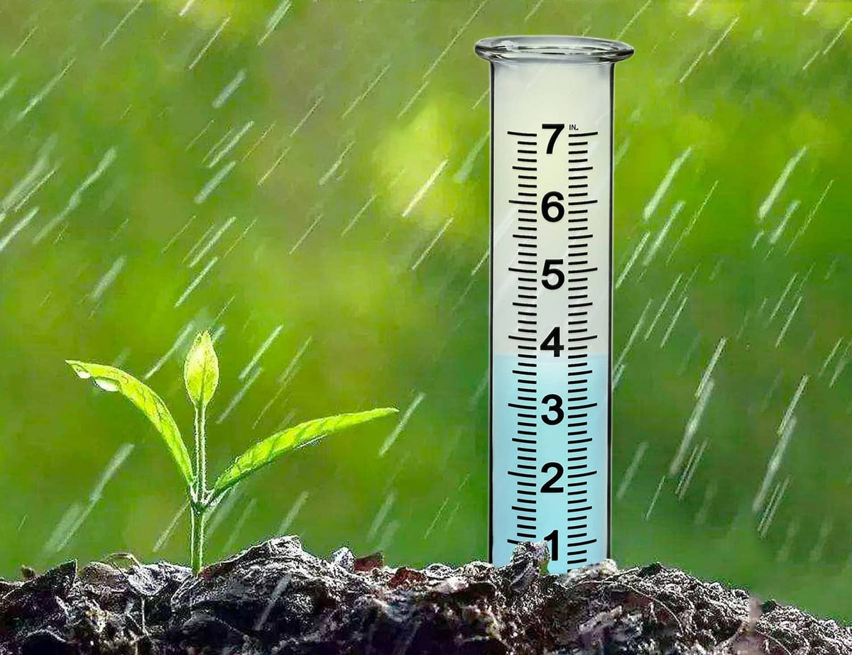 Glass rain gauge tube with 1–7 inch measurement scale, open top