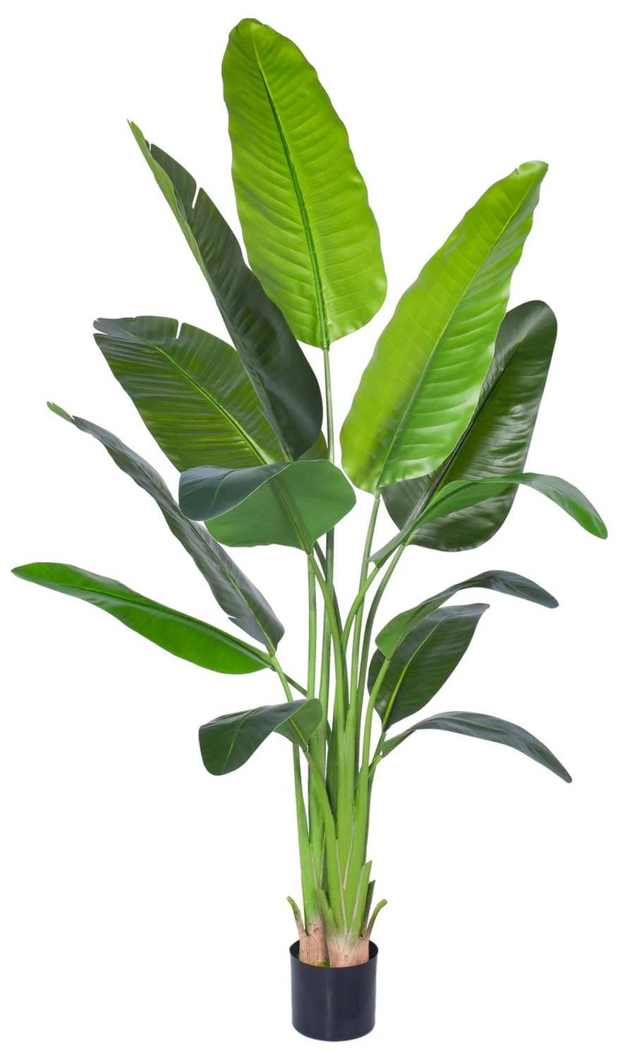 Artificial bird of paradise plant in black pot with bright green long leaves on stems