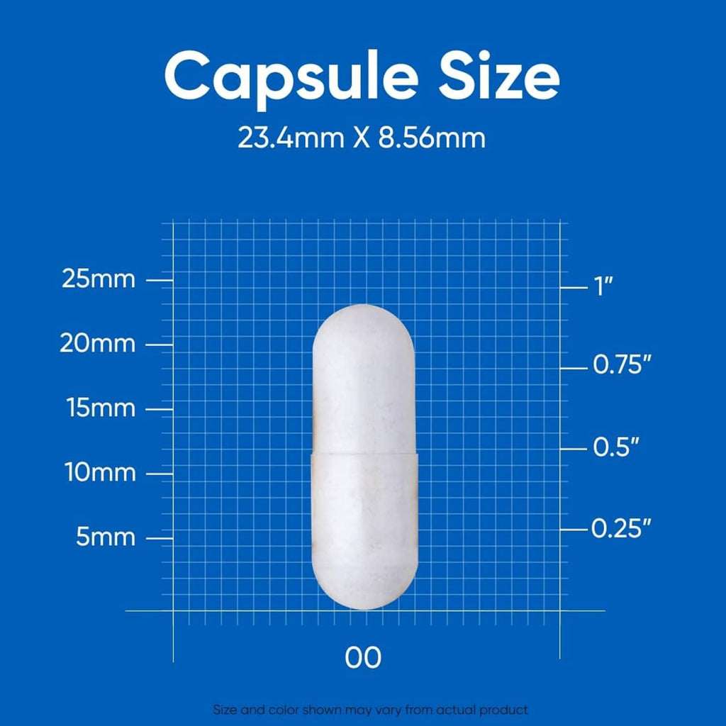 Ashwagandha capsules size chart with 23.4mm x 8.56mm dimensions