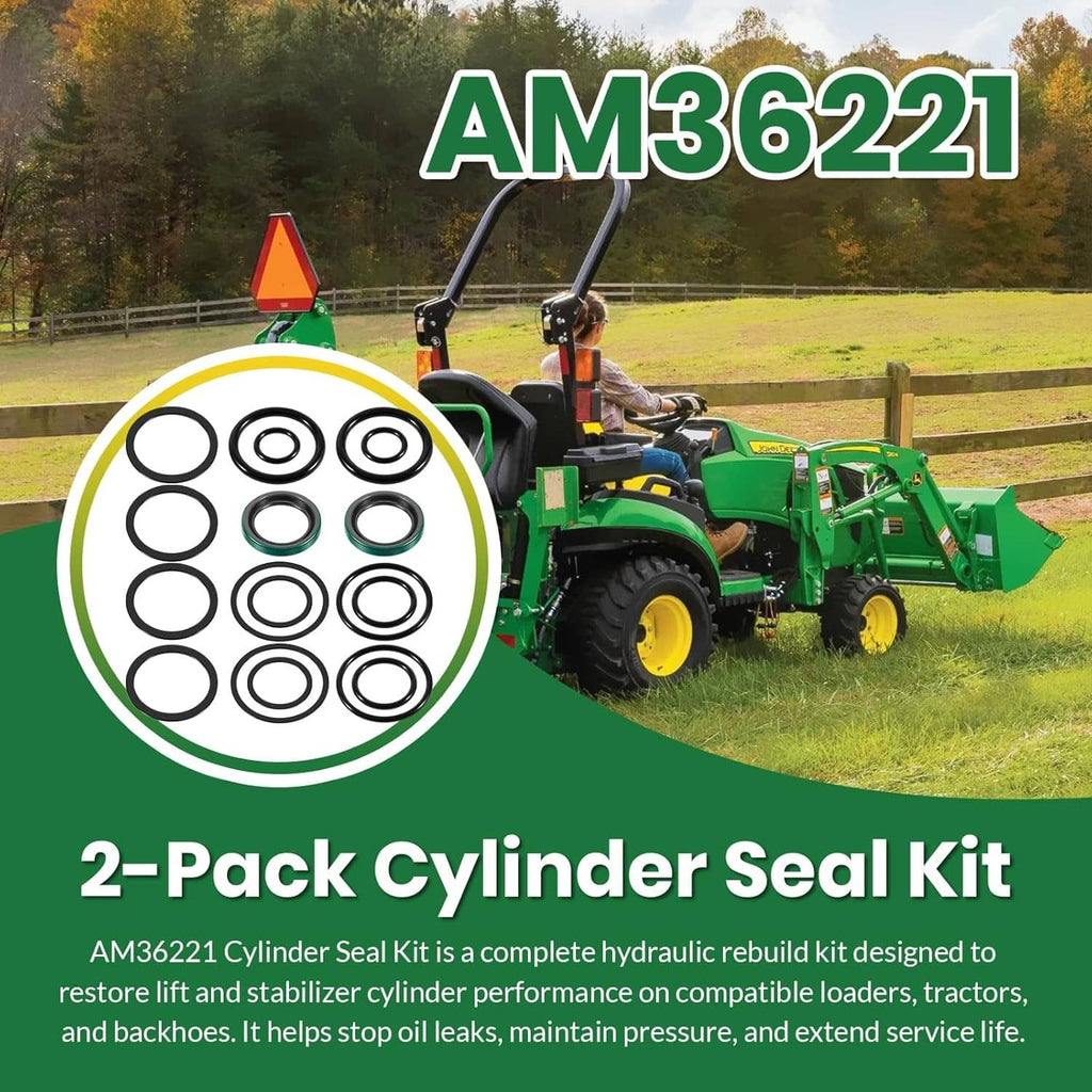 Cylinder seal kit shown with assorted black O-rings and green-edged seal rings