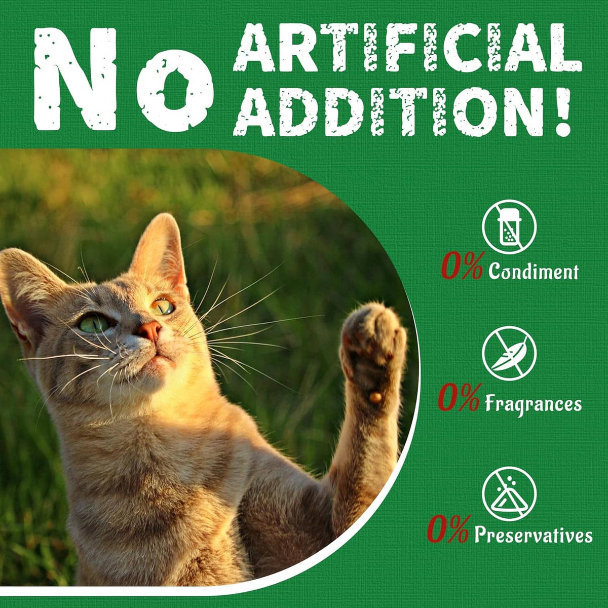 No artificial addition graphic with cat face and icons for 0% condiment, fragrances, preservatives