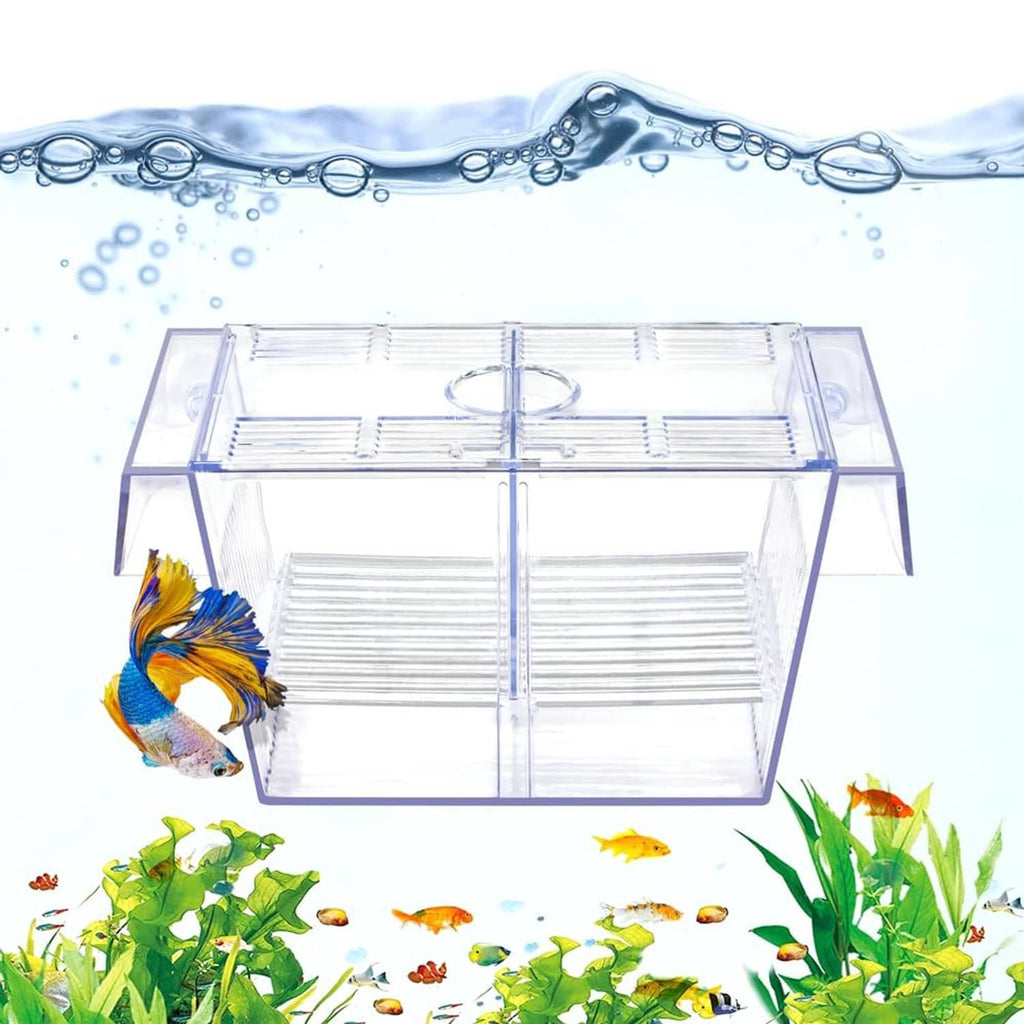 Transparent fish breeding box aquarium holding tank with internal divider and open top