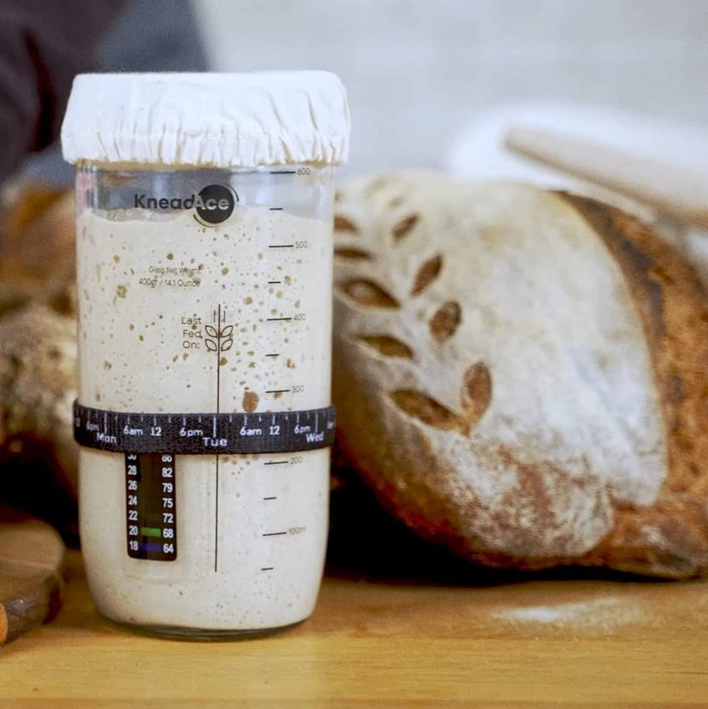 Sourdough starter jar with cloth cover beside rustic bread on a wooden board