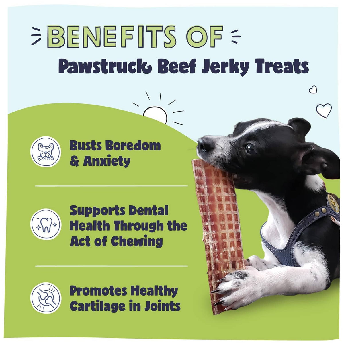 Dog with beef jerky strip, Pawstruck benefits promotional card