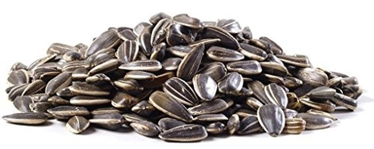 Pile of roasted sunflower seeds, ready-to-eat snack