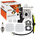 Carburetor maintenance kit with carburetor body, gaskets, fuel line, and spark plug
