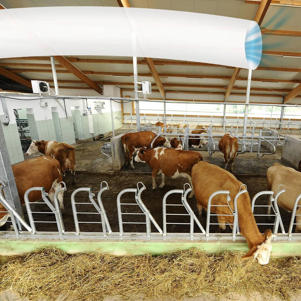 Clear flexible air conditioner blowing bag suspended in a barn for airflow direction