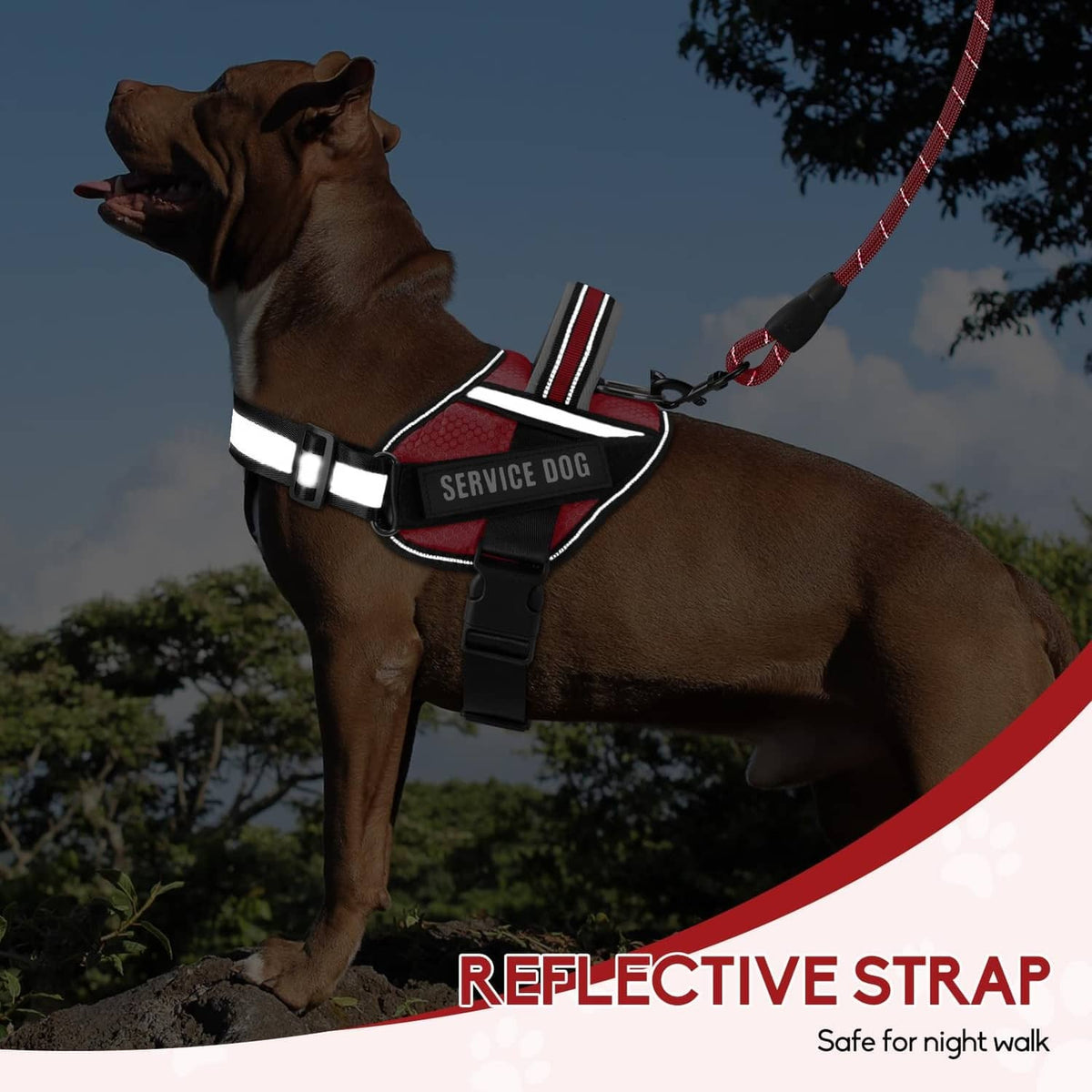 Red service dog vest harness with reflective trim and black leash clip