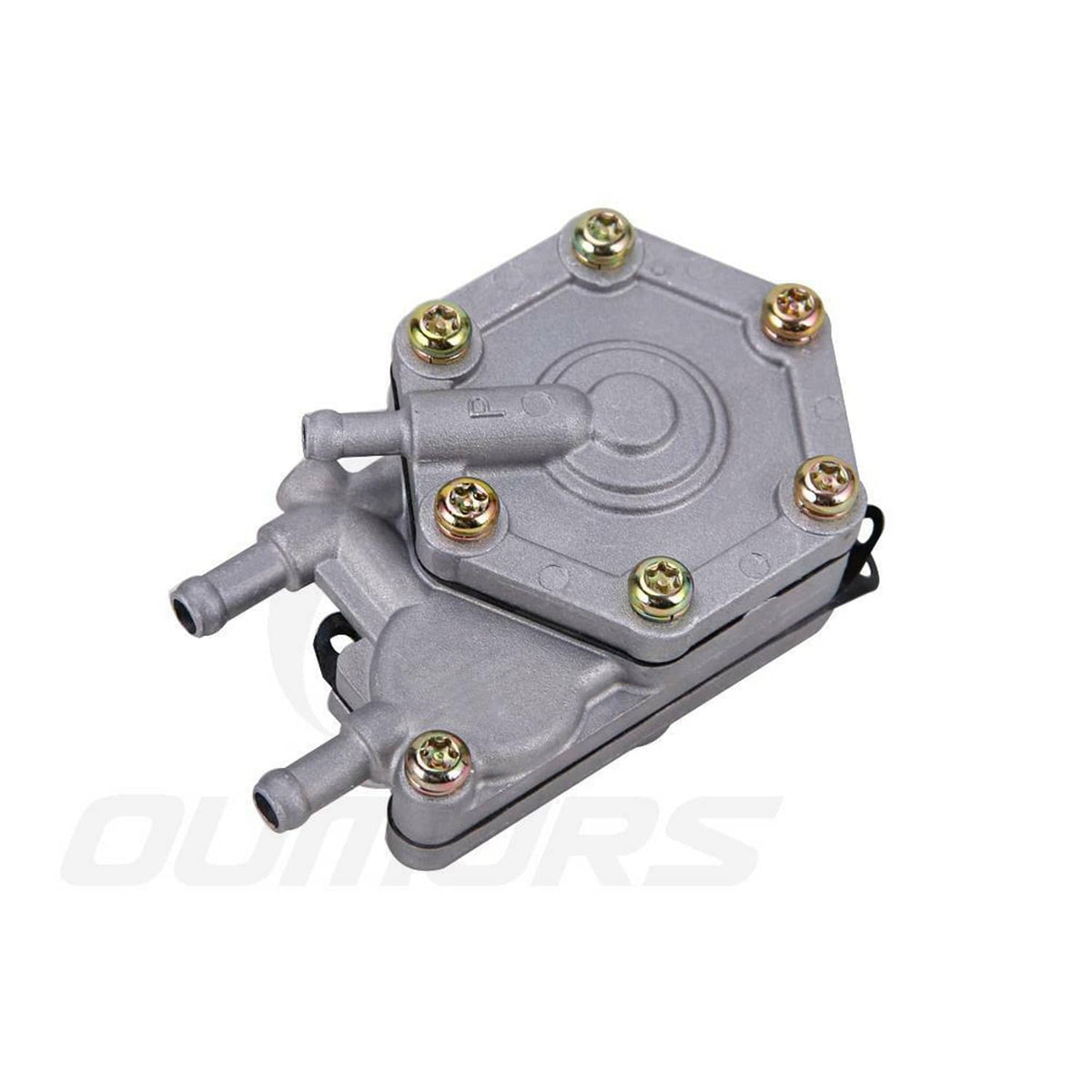 Gray fuel pump front view with two hose ports and gold-capped mounting bolts