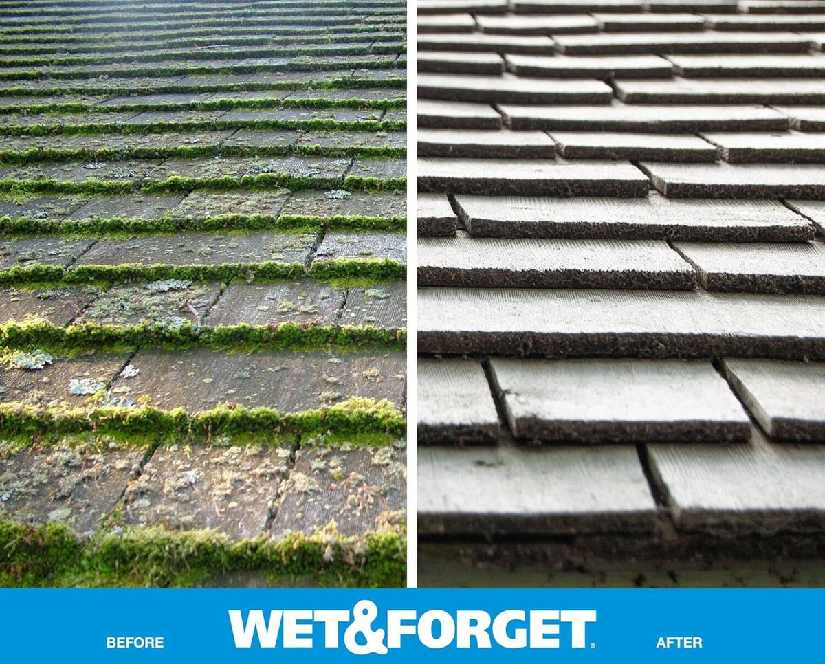 Roof shingles with green moss buildup and adjacent cleaned shingles section