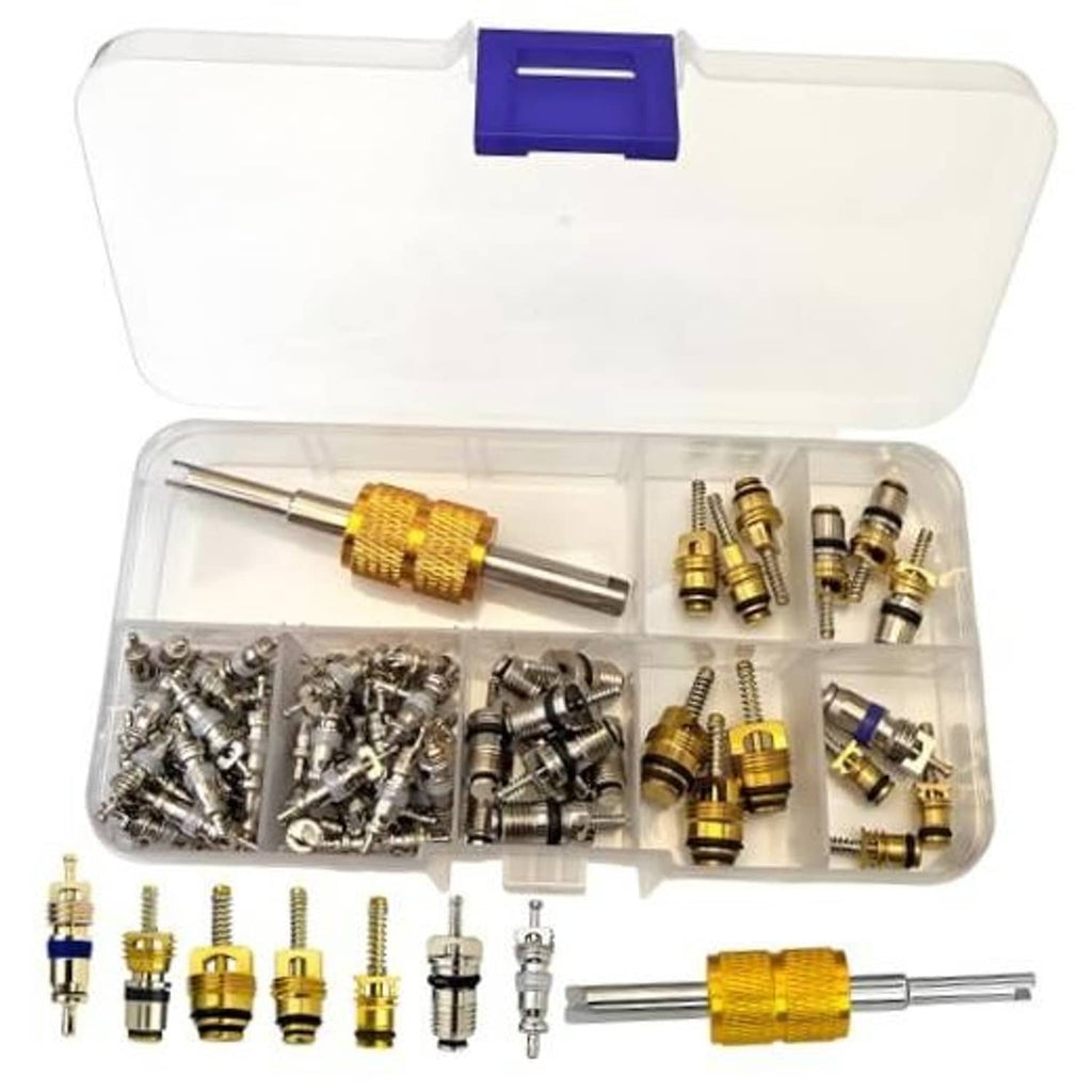 Organizer case with valve core removal tool and brass and silver cores