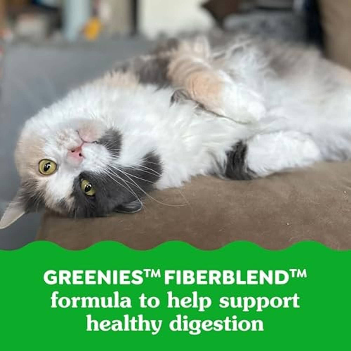 Greenies Fiberblend cat treats promo with cat on couch