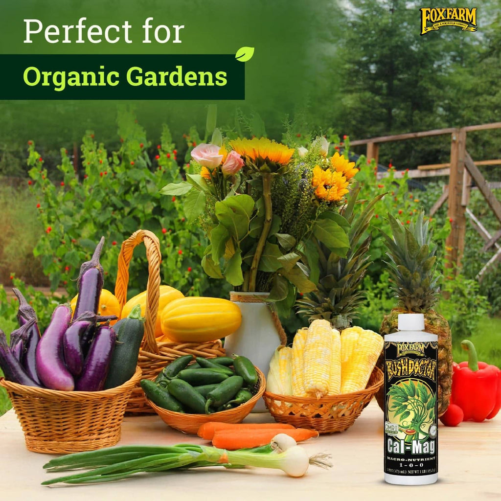 Liquid calcium and magnesium supplement bottle among garden vegetables with white cap