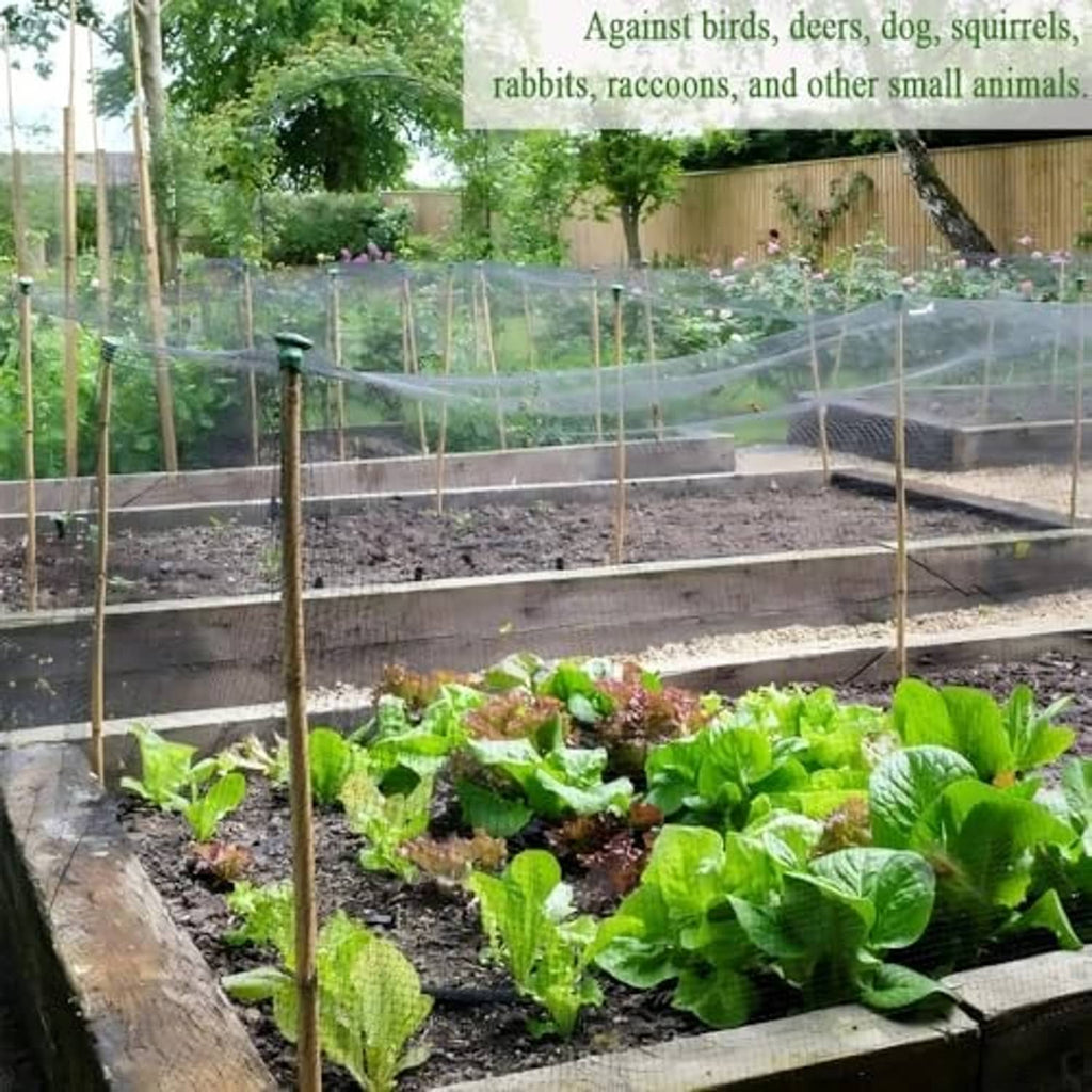 Black diamond-mesh netting barrier stretched over raised garden beds
