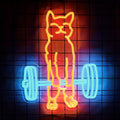 Neon cat lifting weights sign with orange cat outline and blue dumbbells, glowing on grid wall