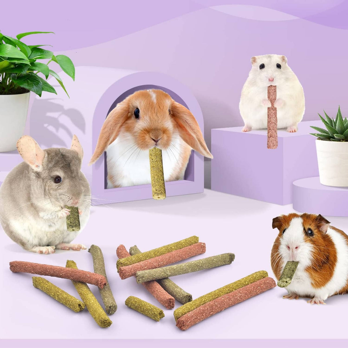 Assorted chew sticks on a table with small rodent pets posed around them