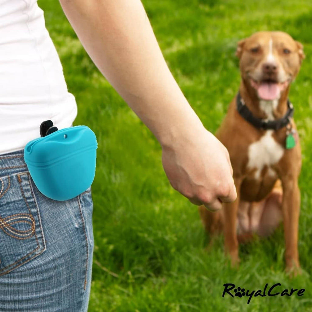 Blue silicone dog treat pouch clipped to jeans, hinged lid closed