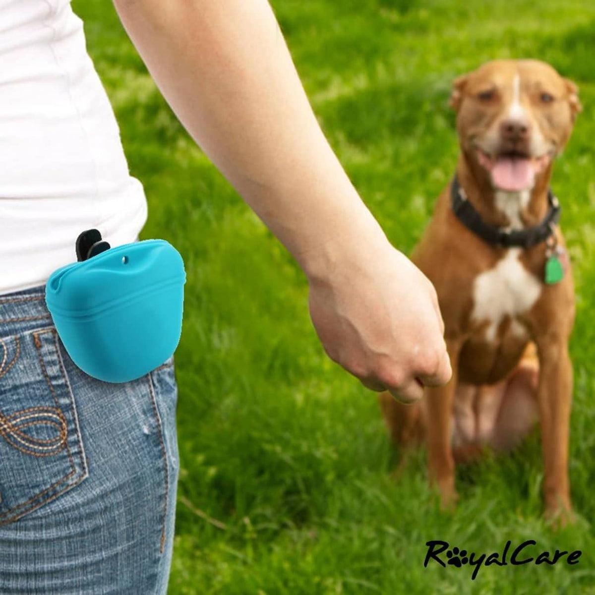 Blue silicone dog treat pouch clipped to jeans, hinged lid closed