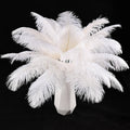 White ostrich feathers bundle with fanned plumes and visible quills, natural fluffy texture
