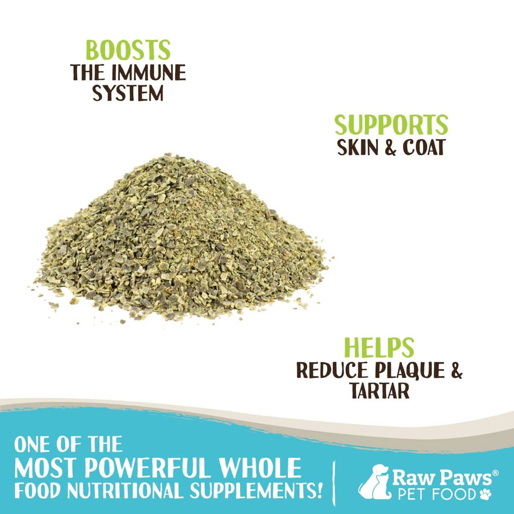Dried organic sea kelp granules mound for pet supplement