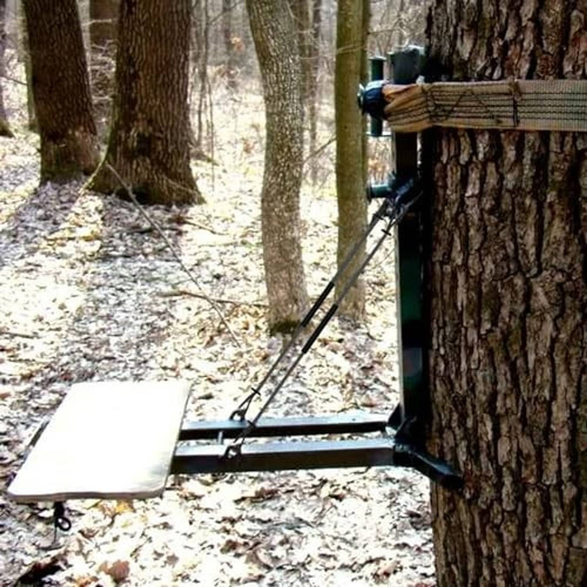 Tree-mounted climbing aider with black rope loop steps and metal support frame