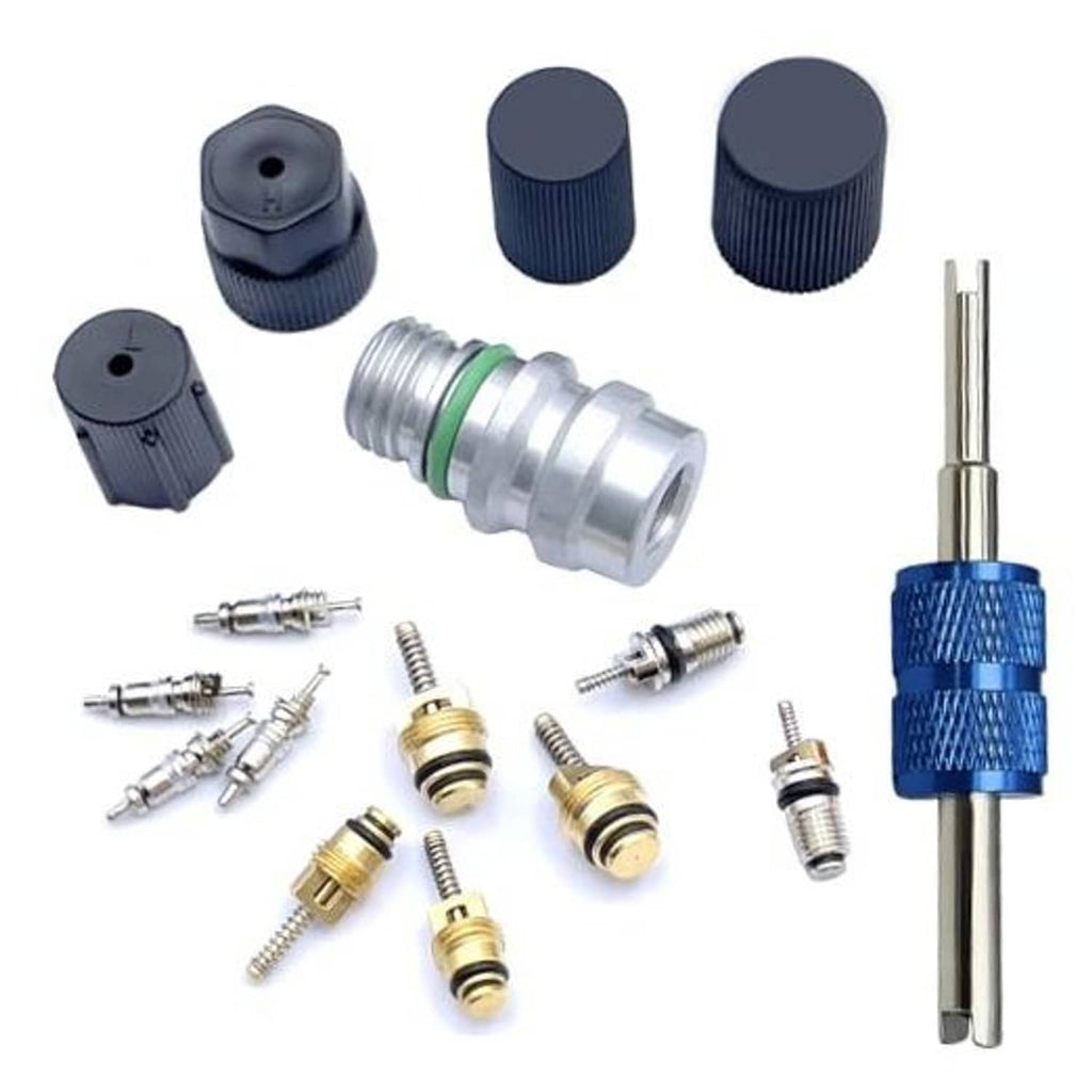Air conditioning valve core seal kit with caps, metal valve core, and adapter tools
