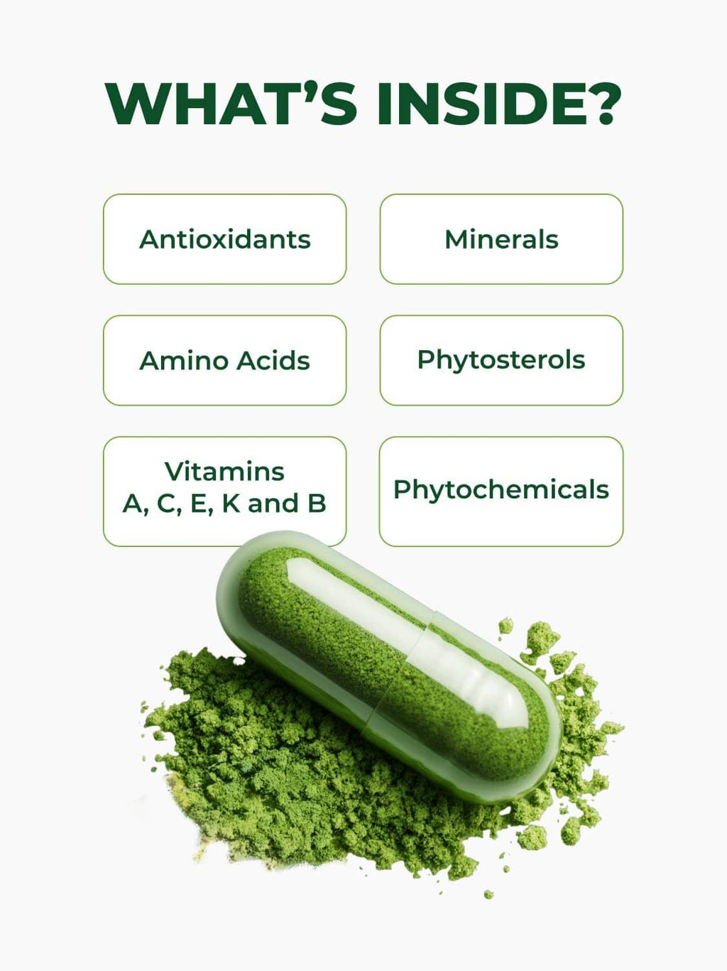 Green moringa capsule on leaf powder with ingredient category boxes