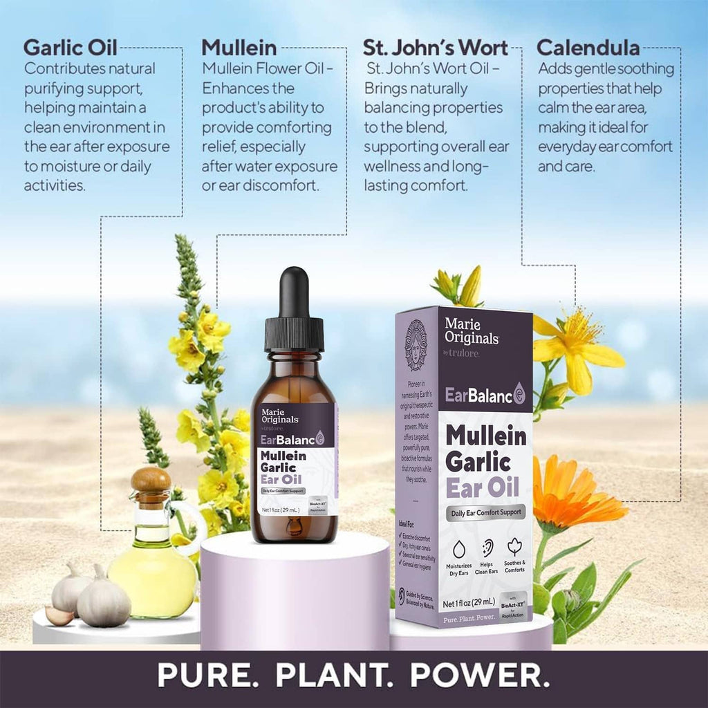 Mullein garlic ear oil set: amber dropper bottle with box and herbal ingredients shown