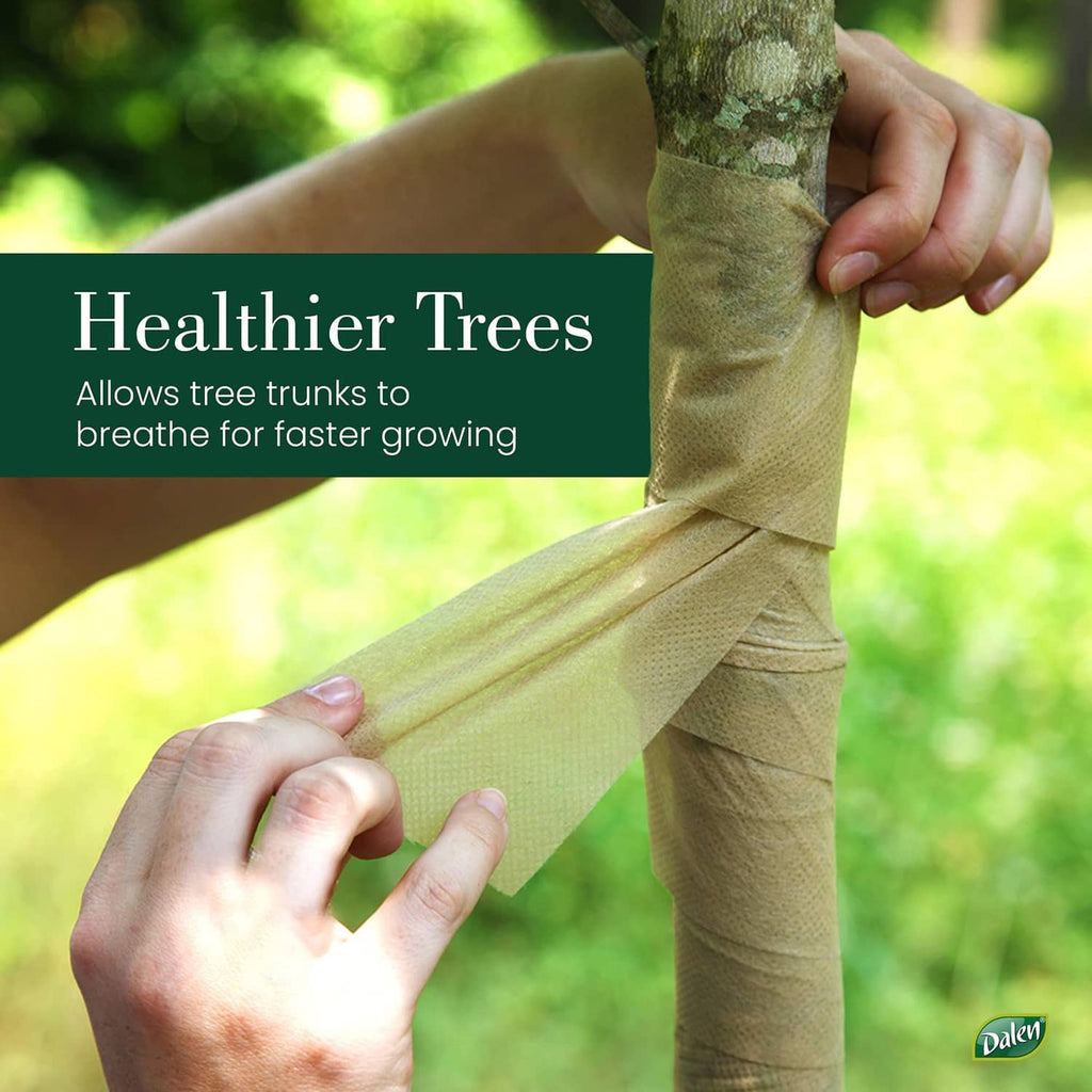 Brown breathable tree wrap wrapped around tree trunk, hands adjusting