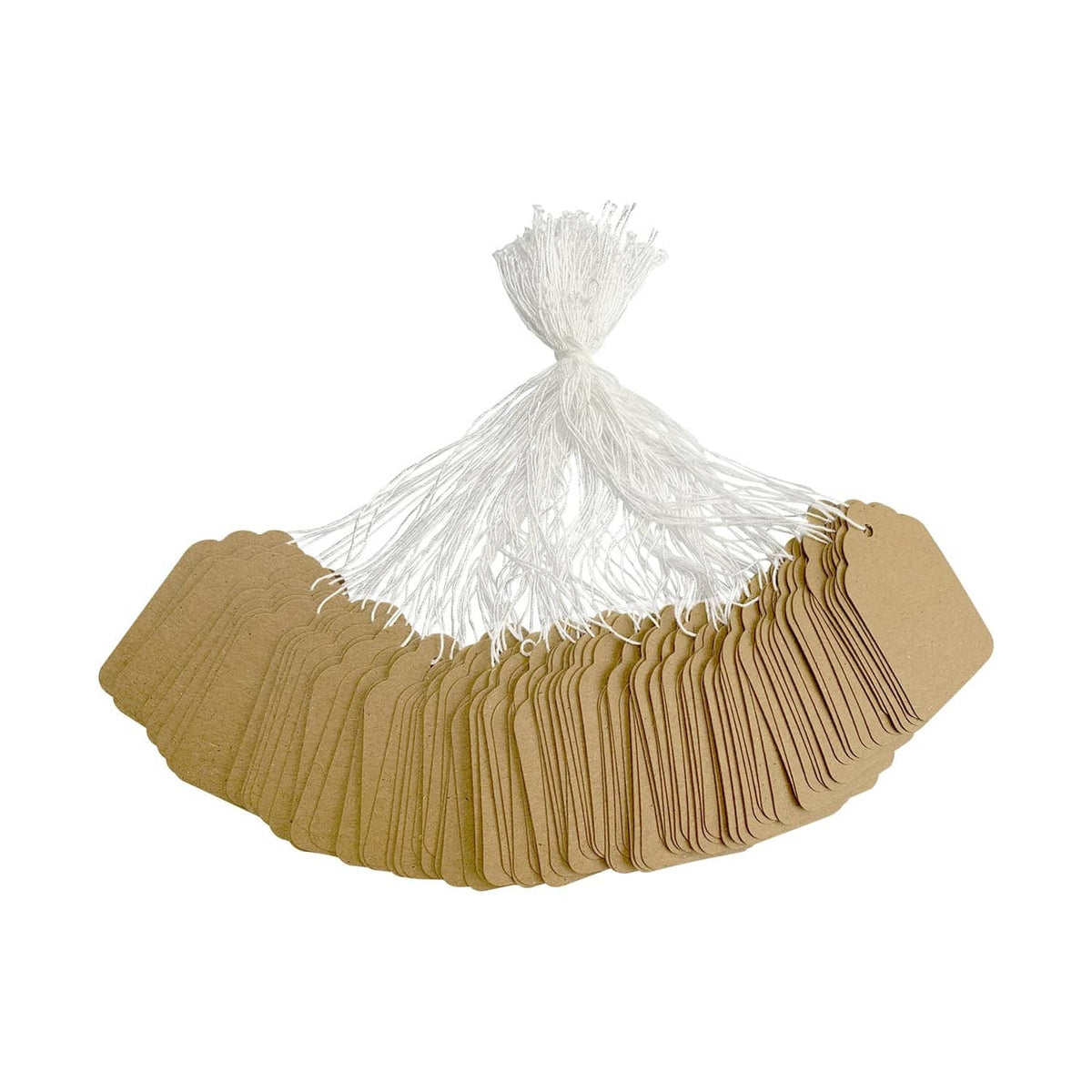 Brown kraft hang tags with white twine string and tassel, multiple labels