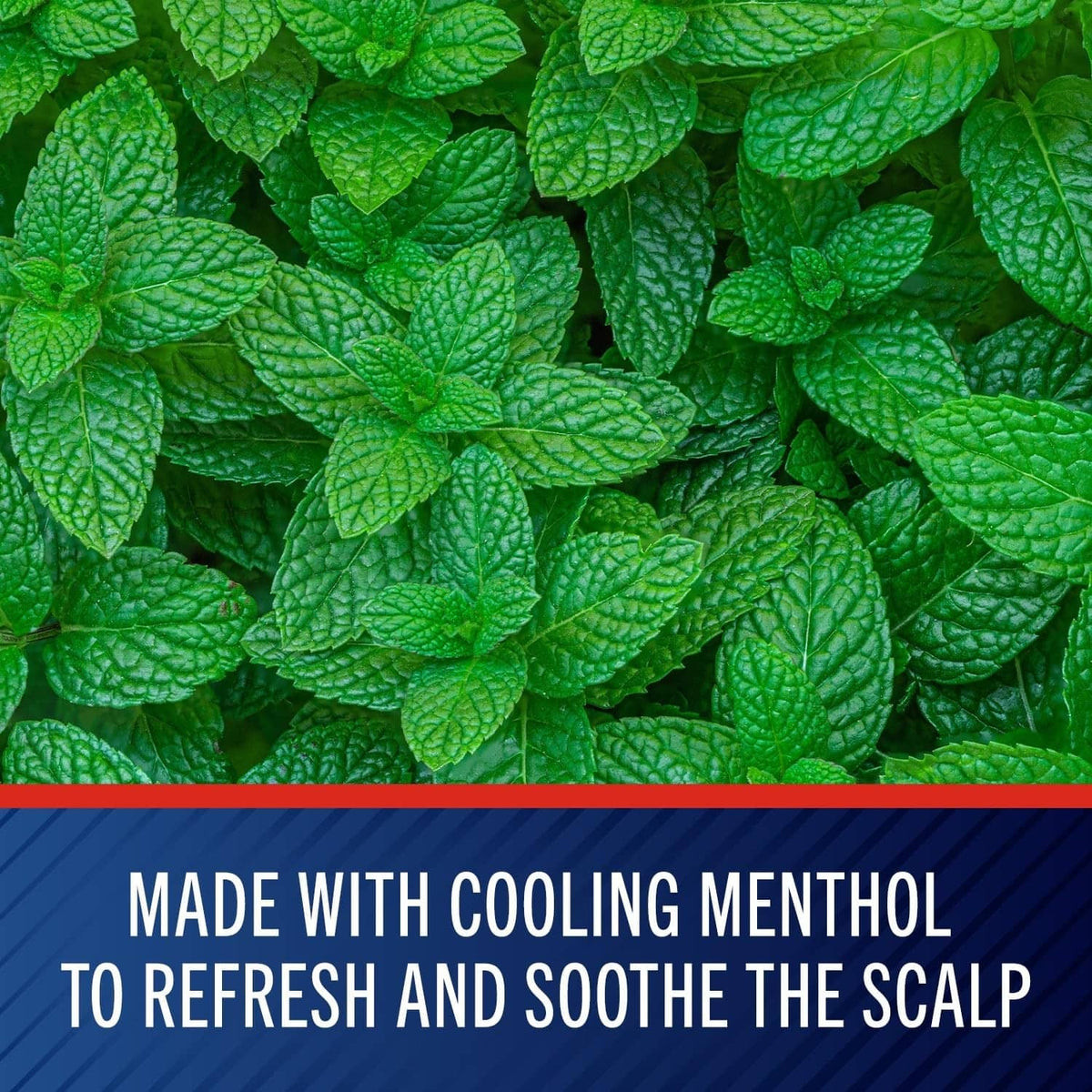 Cooling menthol anti-dandruff shampoo concept with green mint leaves