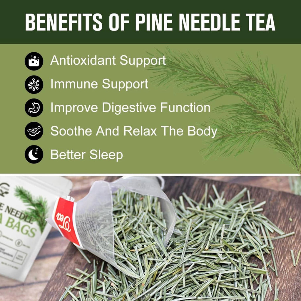 Pine needle tea bags with pine needles scattered on a wooden surface