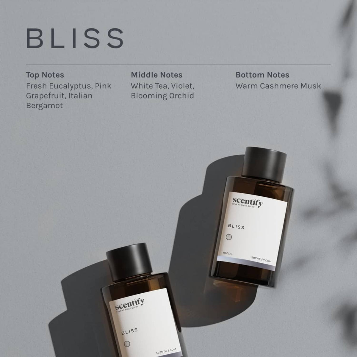 Scentify Bliss oil refill bottles with scent notes on packaging