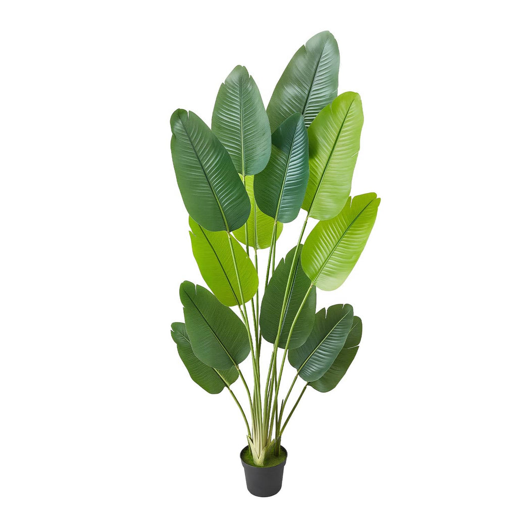 Faux bird of paradise tree with long green leaves in a small black pot
