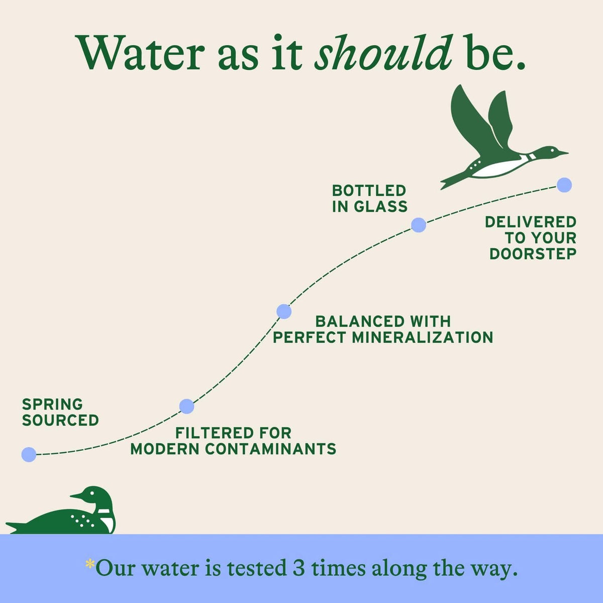 Loonen sparkling water mineralization and delivery infographic with bottle icon