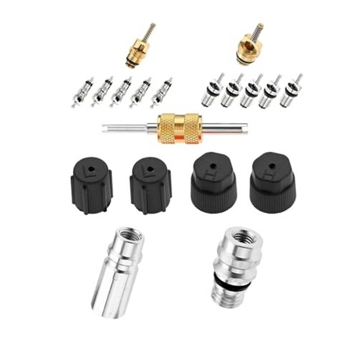 Air conditioning valve core and seal kit with brass tool, chrome valve parts, and black seal caps