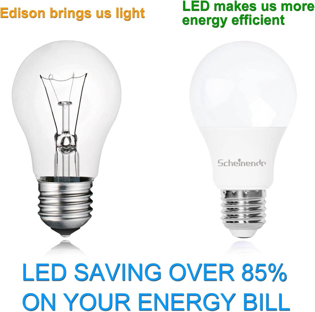 Clear Edison-style LED bulb with E26 screw base, warm white, frosted globe