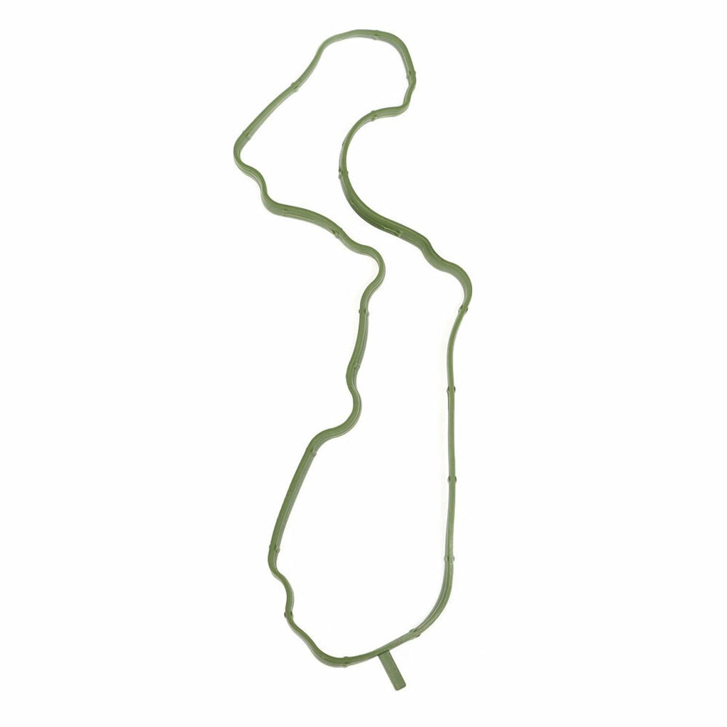 Green engine gasket seal strip with irregular shape and small mounting hole