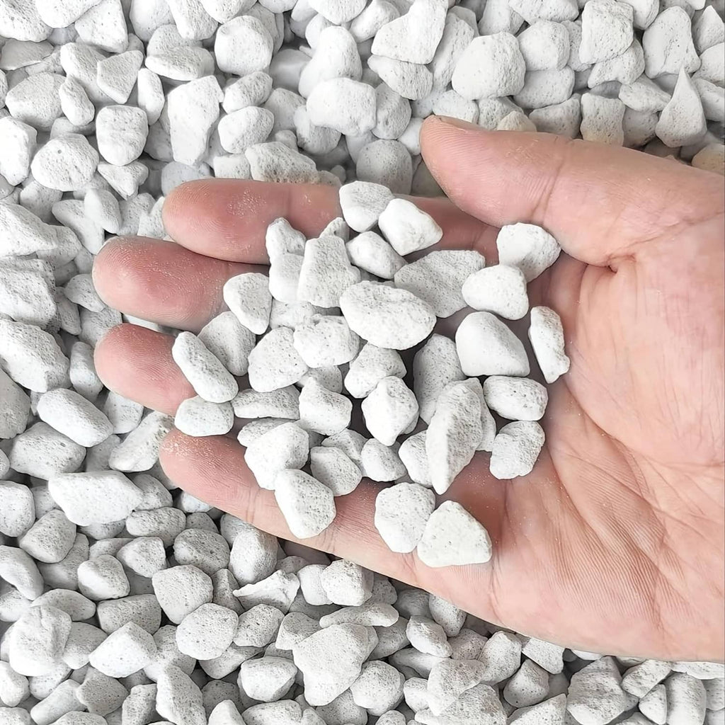White chunky perlite stones held in an open hand, close-up texture