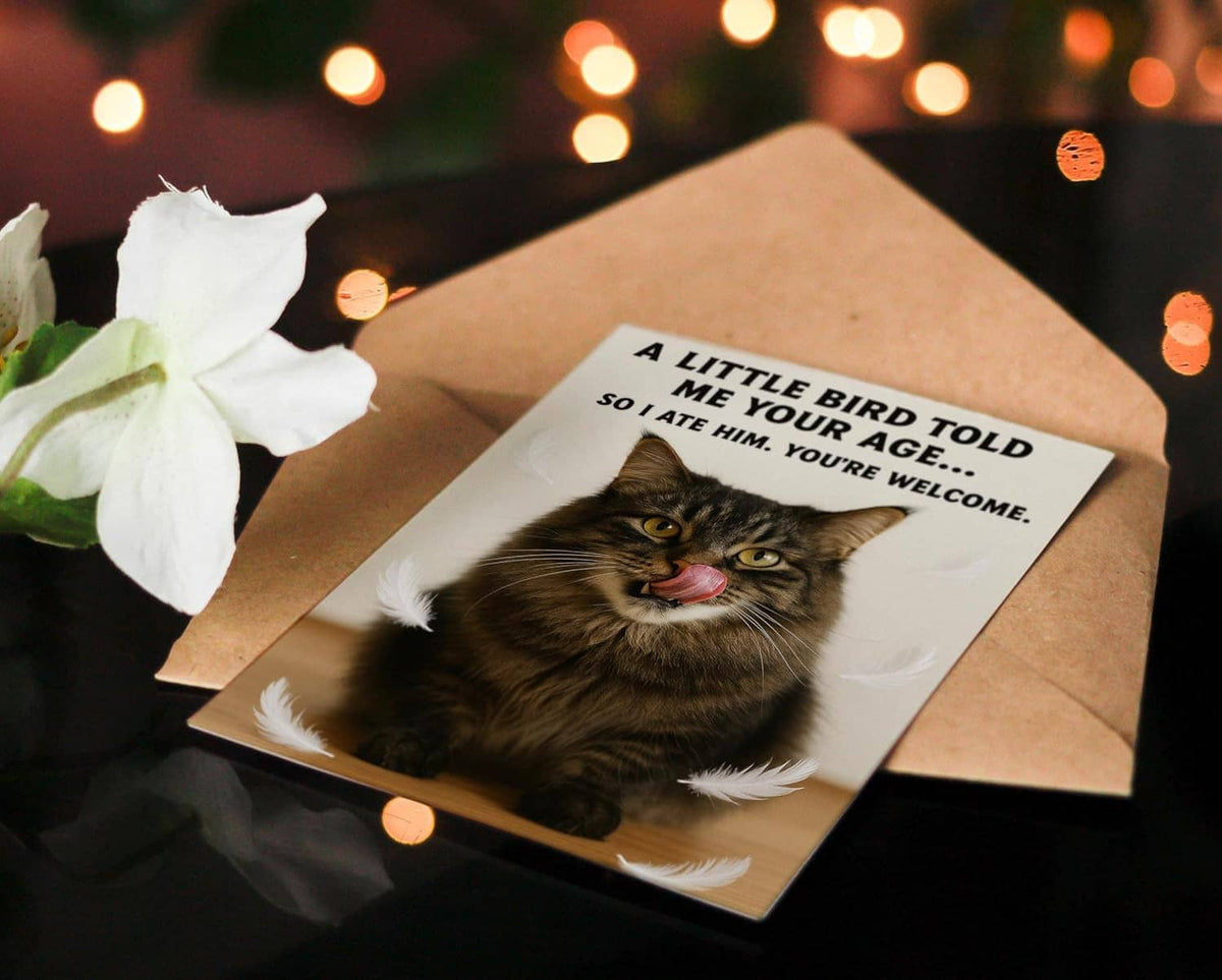 Funny birthday card with tabby cat and feather print, kraft envelope on dark background