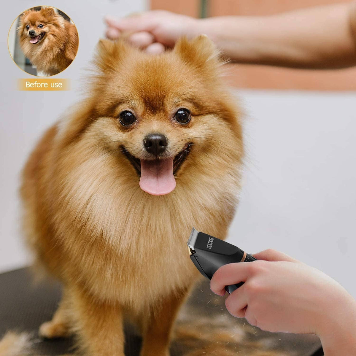Hand grooming a small dog with HOLDOG clippers near the pet’s neck