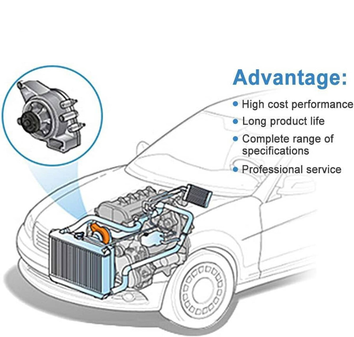 Engine bay diagram highlighting water pump location and cooling pathway