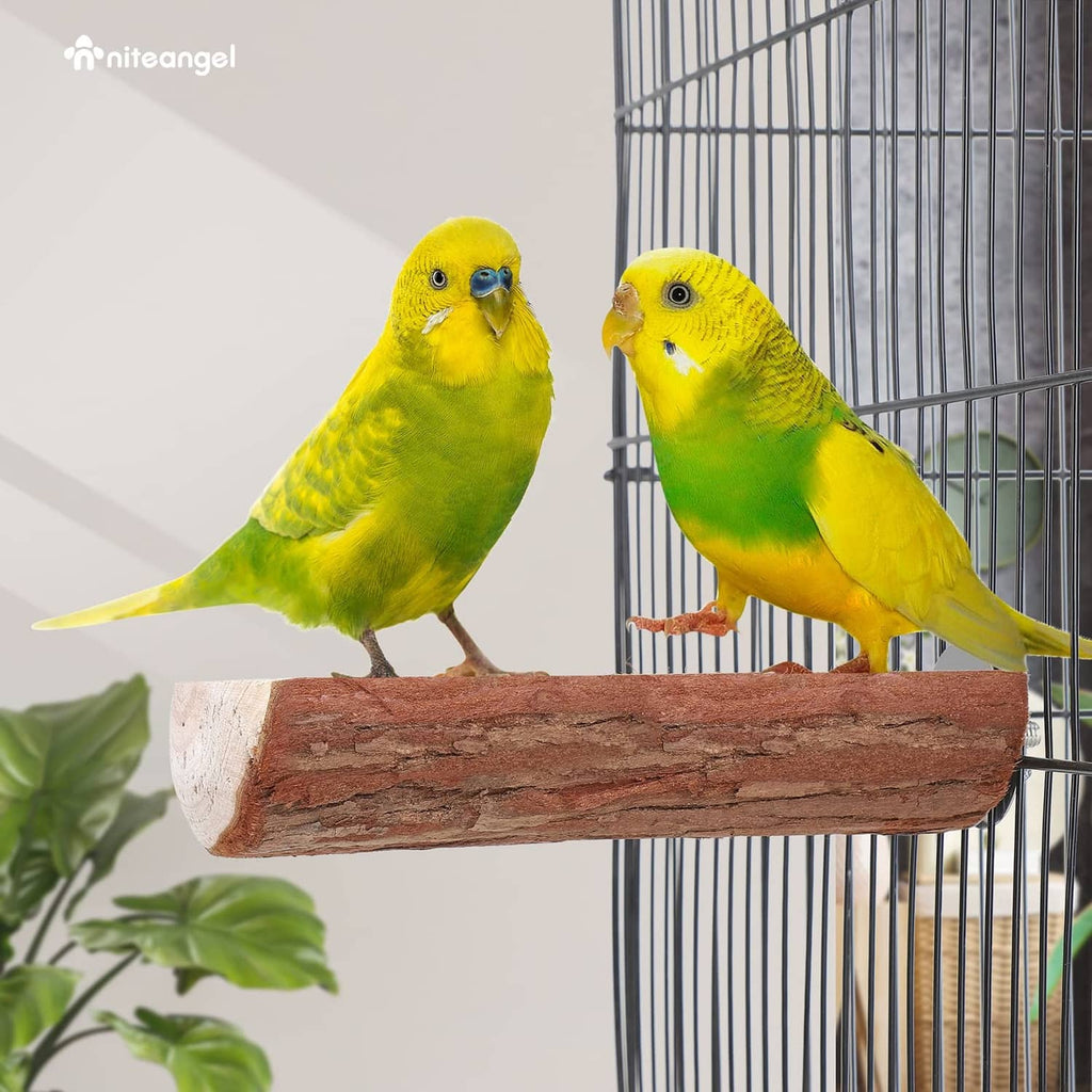 Wooden bird cage perch with two small parrots perched side by side
