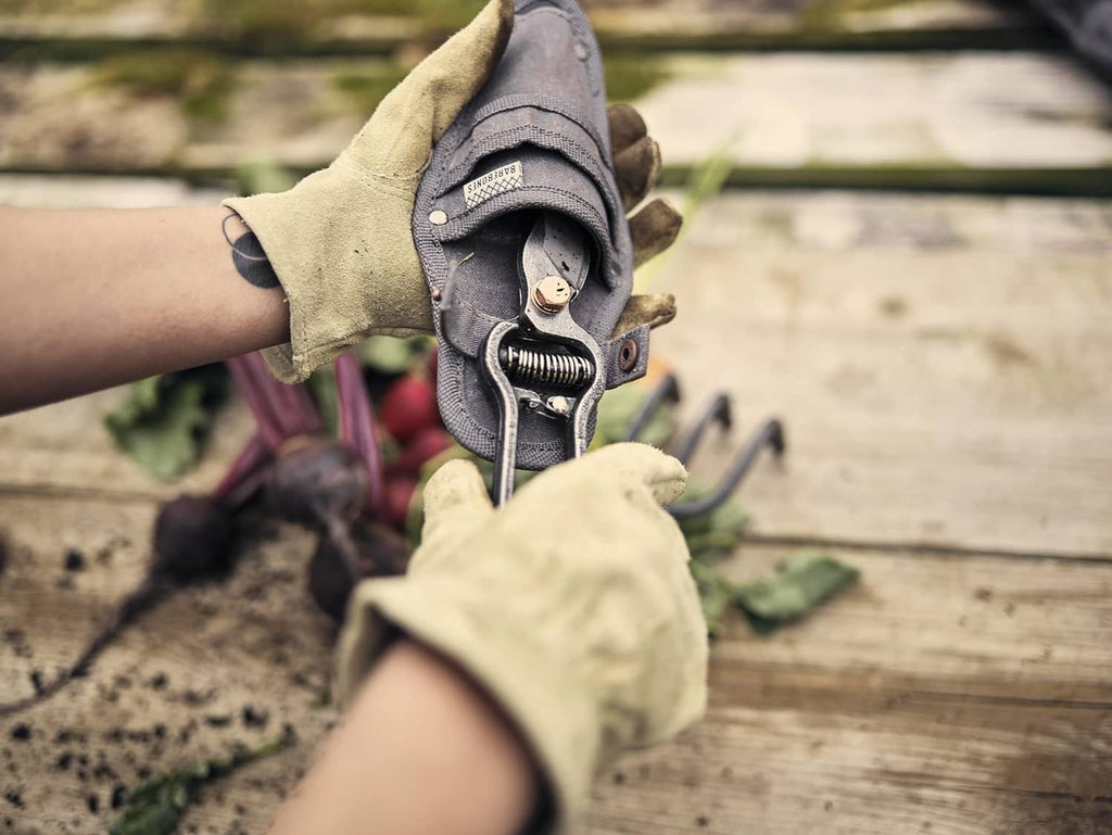 Japanese garden shears held in gloved hands with a dark fabric sheath